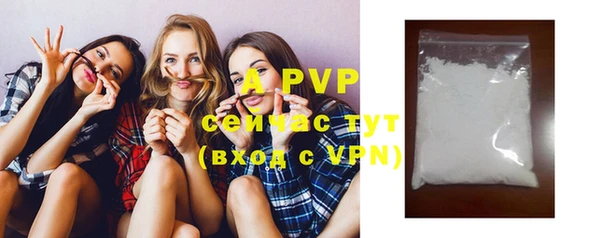 индика Пыталово